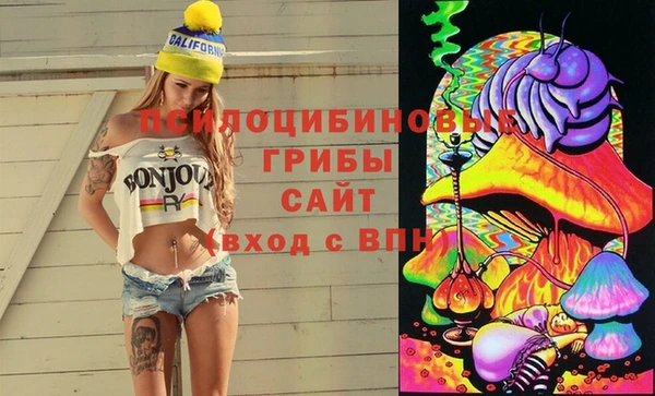 mdpv Алексин