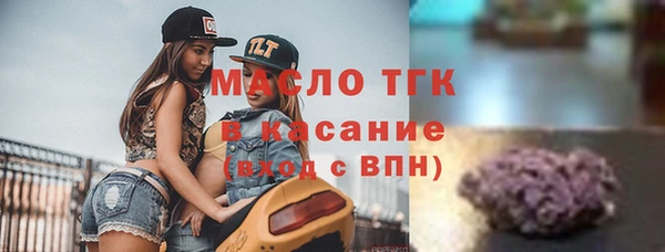 эйфоретик Аркадак