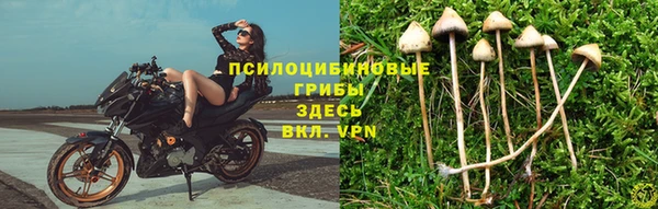эйфоретик Аркадак