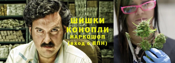 эйфоретик Аркадак