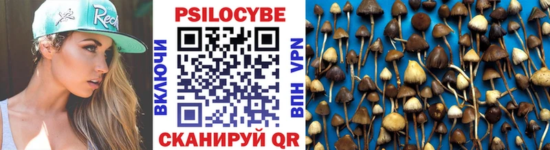 Галлюциногенные грибы MAGIC MUSHROOMS  Чадан 